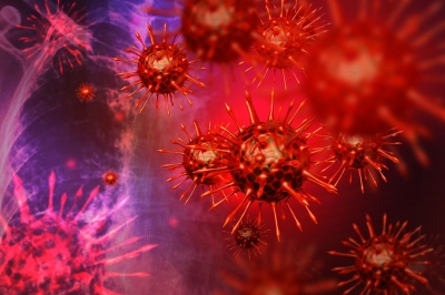 Otkriven posve novi soj koronavirusa - NeoCoV: Znanstvenici upozoravaju na biološku prijetnju te visoke stope smrtnosti i prijenosa
